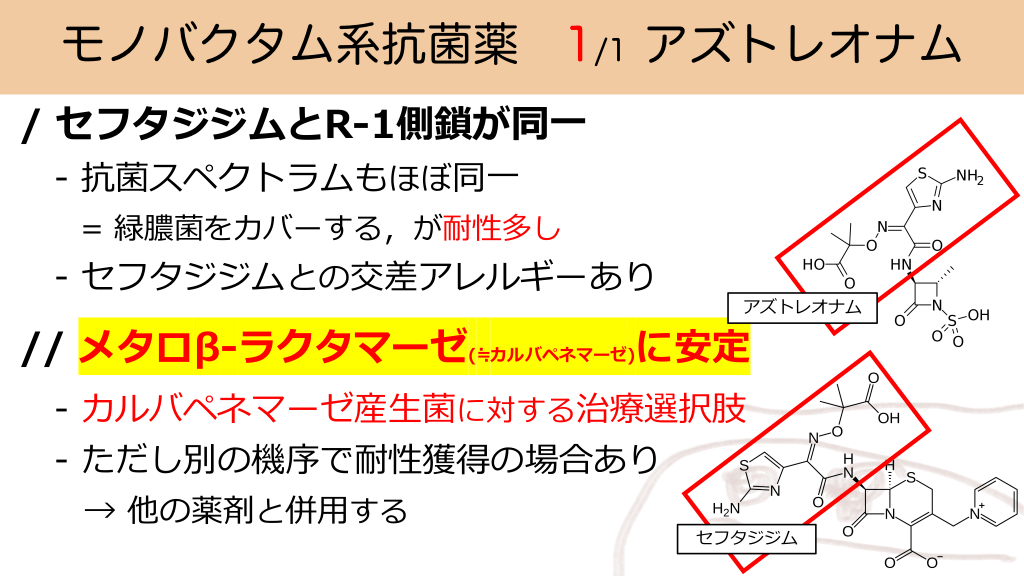 リブラクタムのリーフレット