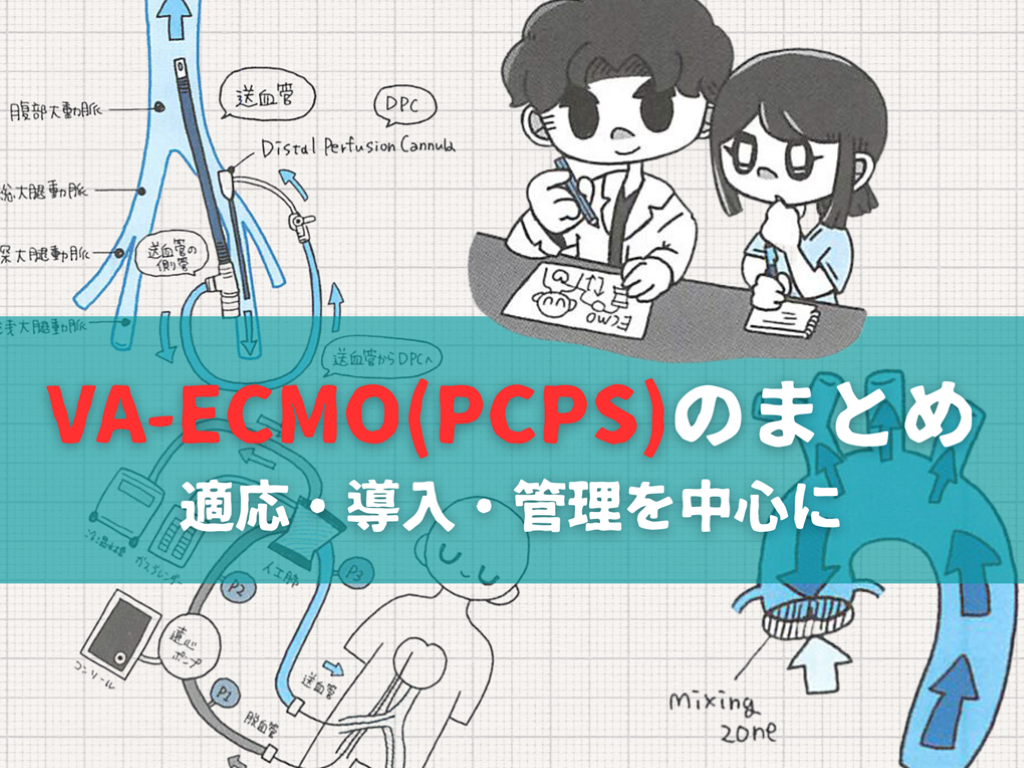 2024年12月更新】VA-ECMO(PCPS)のまとめ【適応・生理学・導入・管理 2024年12月更新】VA-ECMO(PCPS)のまとめ【適応・生理学・導入・管理