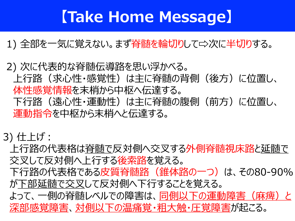 イラストでわかる神経症候 機能・解剖学から診断へのアプローチ