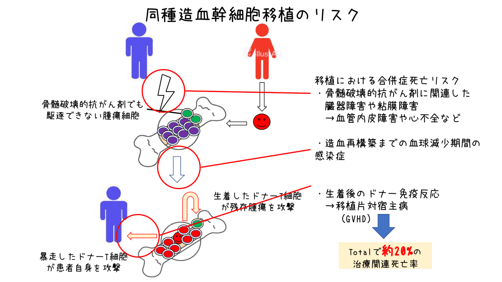 造血幹細胞分化 メカニズム _ 骨髄球系前駆細胞 – DOBR