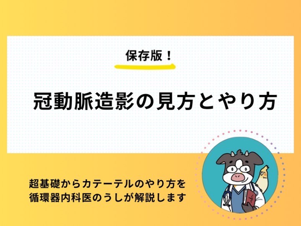 冠動脈造影の見方とやり方 L001.png