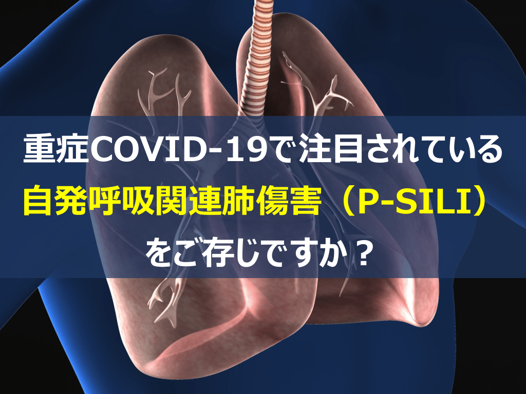 重症COVID-19で注目されている自発呼吸関連肺傷害（P-SILI）をご存じですか？ L1.png