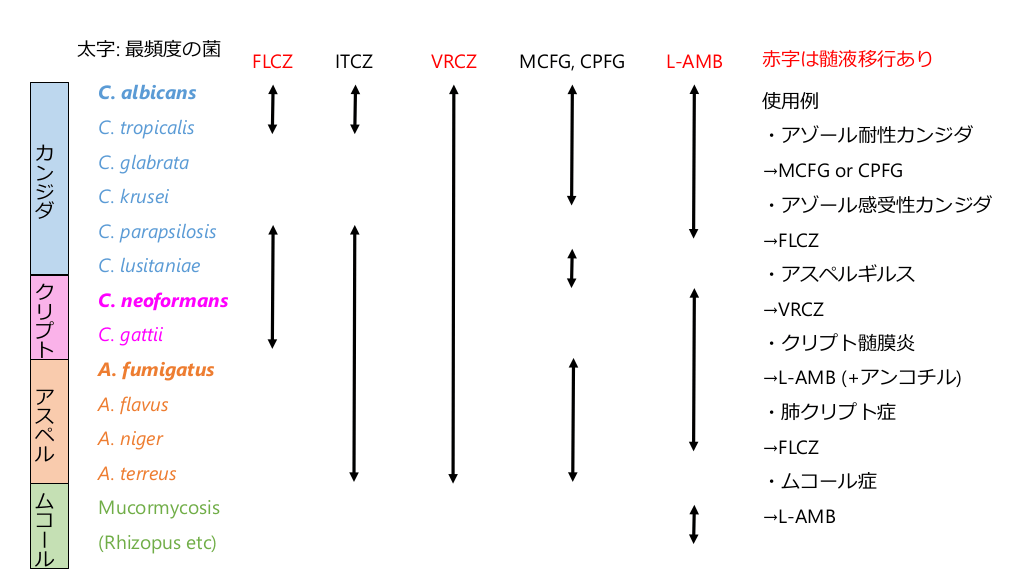 CTL抗真菌薬リーフレット