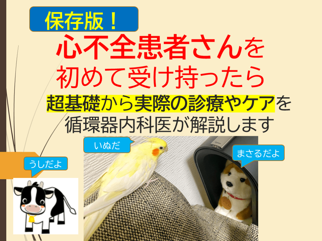 心不全患者さんを初めて受け持ったら L001.png